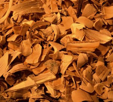 NEjlepší santalové dřevo - recenze a účinky